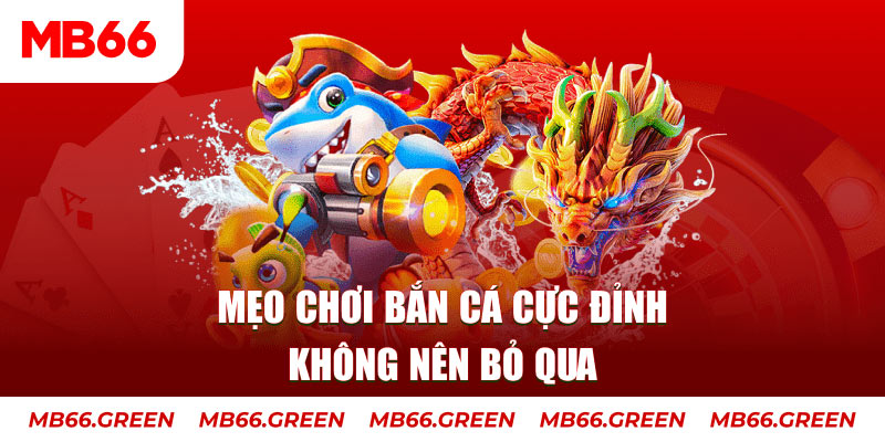 w88vn gà chọi thomo