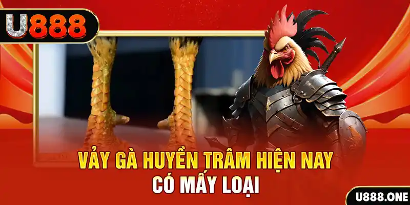 w88vn trực tiếp đá gà thomo hôm nay