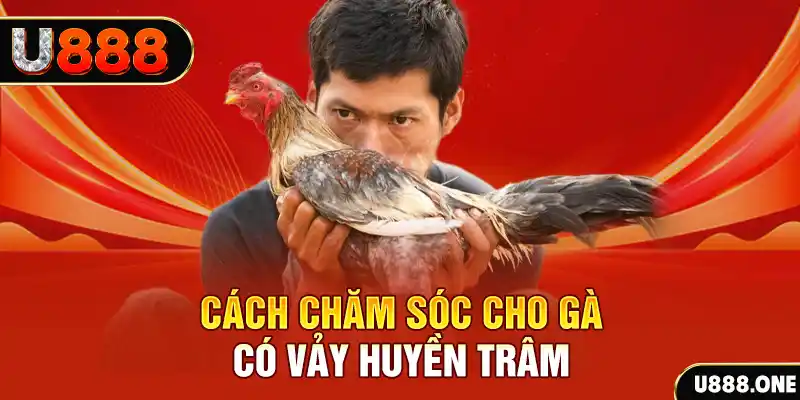 w88vn trò chơi bắn cá