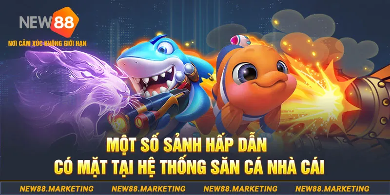 w88vn ga choi c1 com