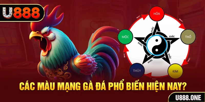 w88vn nổ hủ là gì