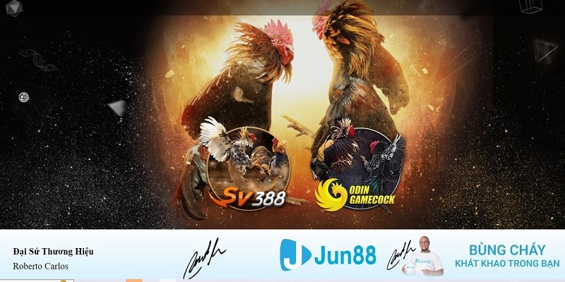 w88vn Con át chủ bài Chuhande