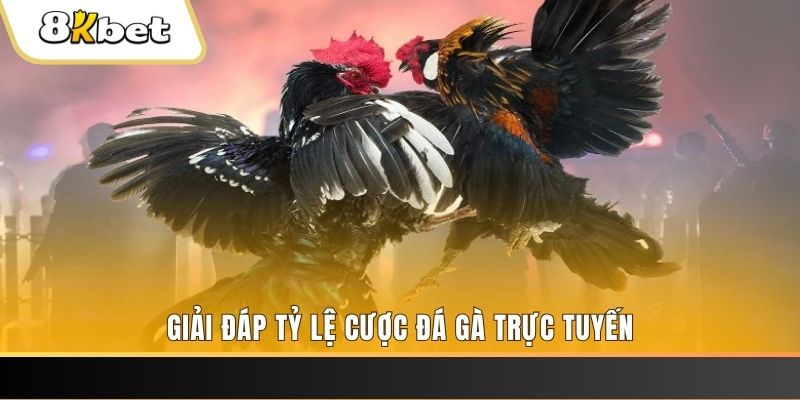 w88vn quay thử xổ số miền nam