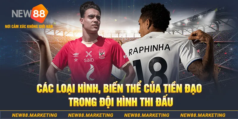 w88vn qq88 bắn cá