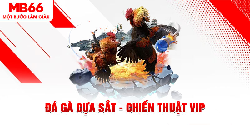 w88vn đá gà hôm nay